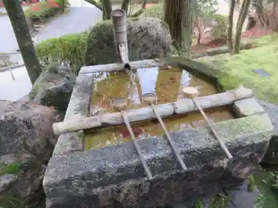 今熊野観音寺(京都府)