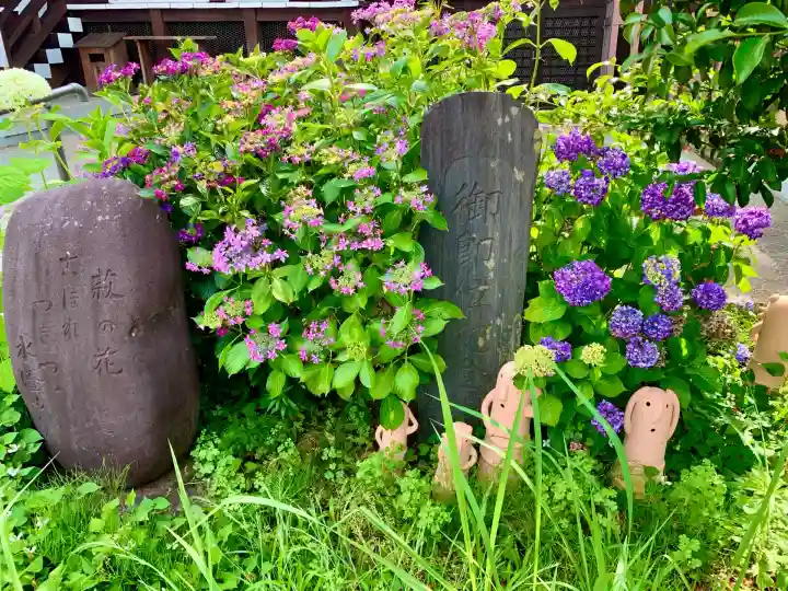 櫻岡大神宮の庭園