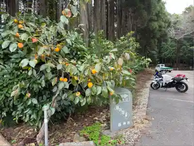 縣神社(千葉県)