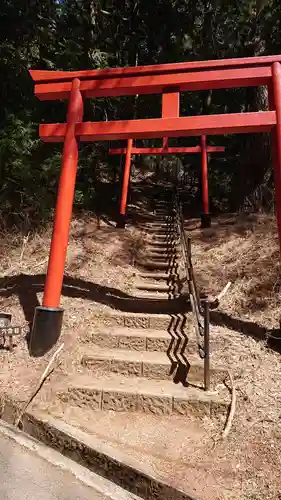 河口浅間神社の鳥居