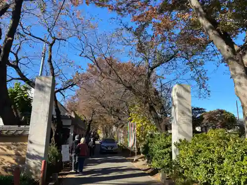 本土寺(千葉県)