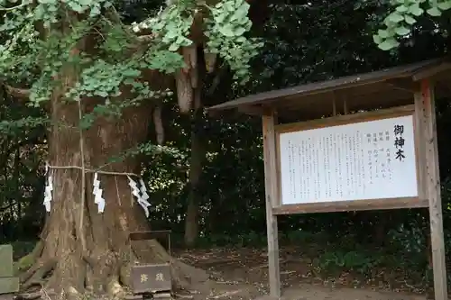 鎌数伊勢大神宮(千葉県)