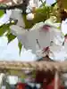 旗上弁財天社(神奈川県)
