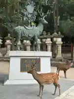 春日大社(奈良県)