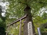 大六神社の鳥居