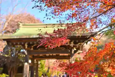 本土寺(千葉県)