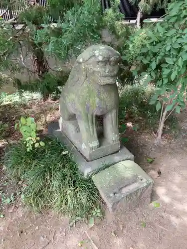 越谷香取神社の狛犬