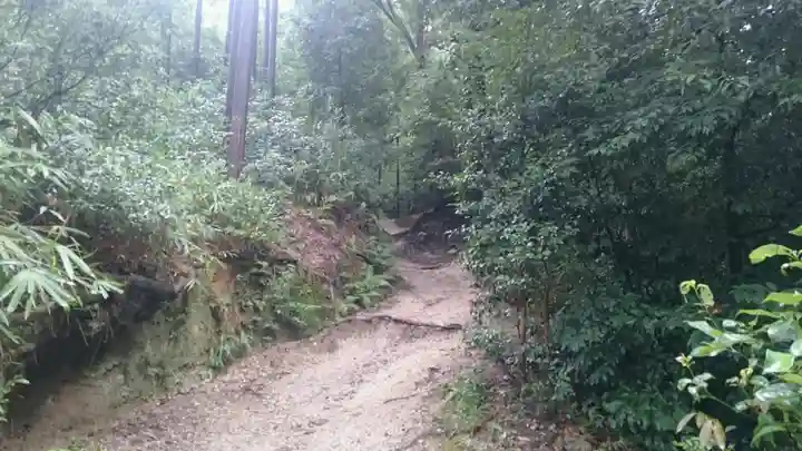 伏見稲荷大社の周辺