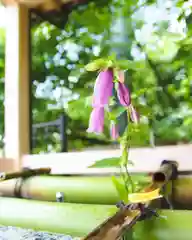 伊香保神社(群馬県)