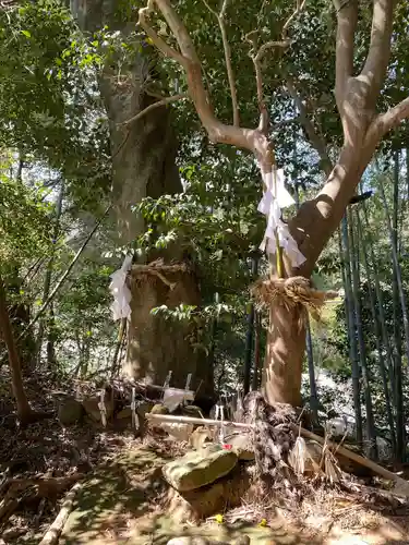 八重垣神社(島根県)