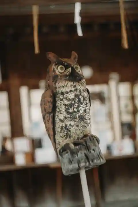 小倉祇園八坂神社(福岡県)
