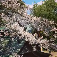 豊景神社の自然