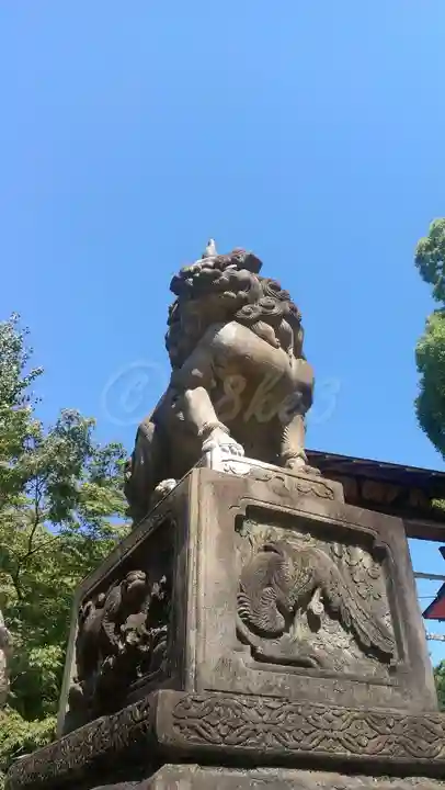 八坂神社(祇園さん)の狛犬