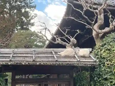 上品蓮台寺(京都府)