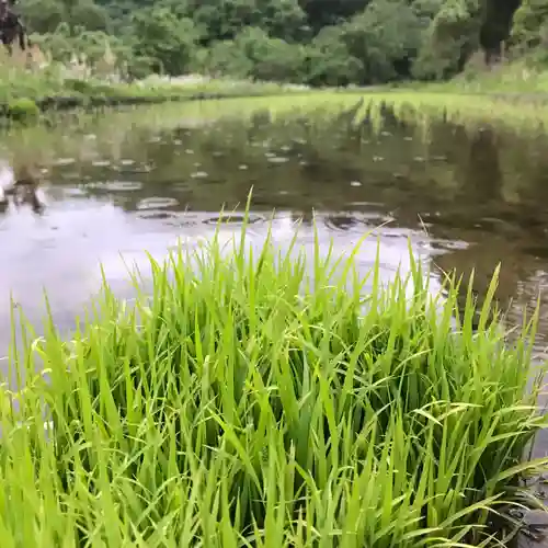 高司神社〜むすびの神の鎮まる社〜の周辺
