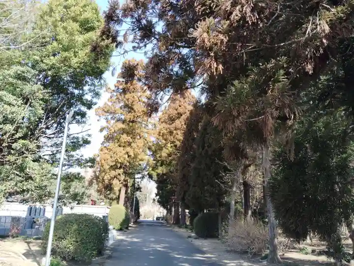 普済寺(群馬県)