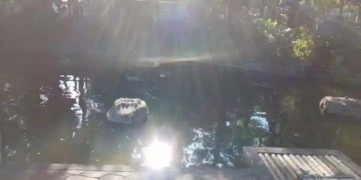 大井神社(京都府)