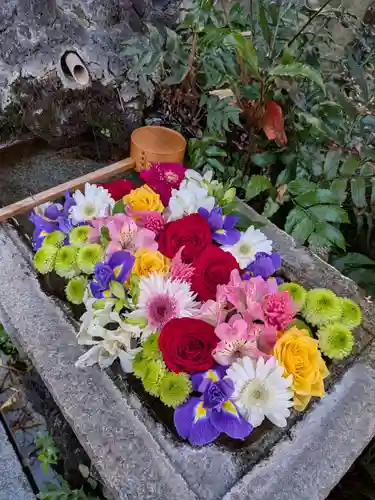 本郷氷川神社(東京都)
