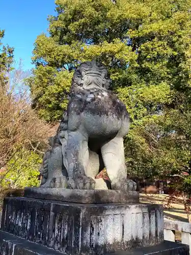 武田神社の狛犬