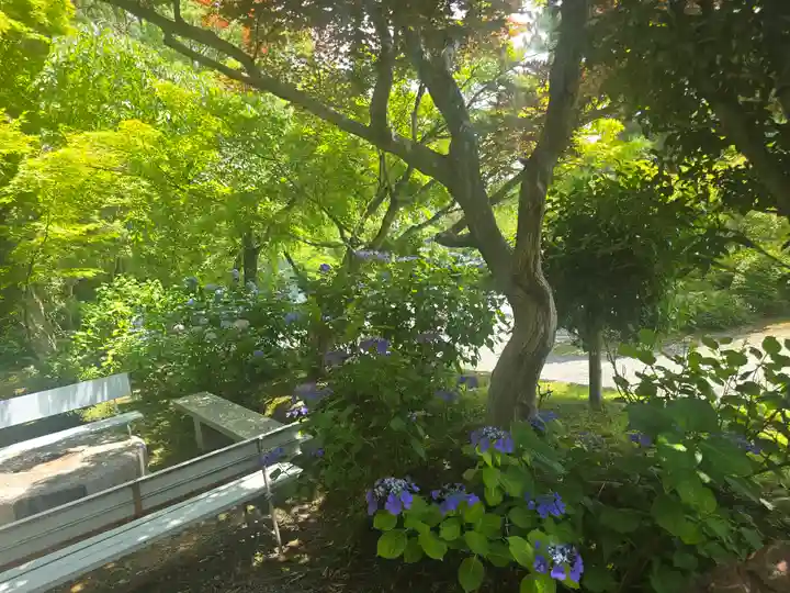 正法寺(京都府)