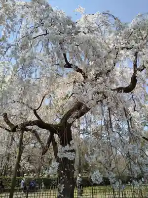 水火天満宮(京都府)