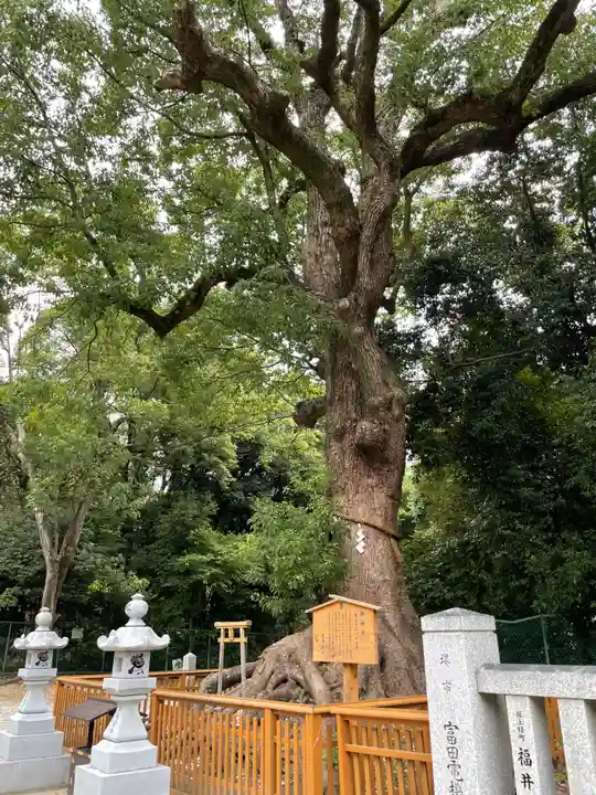 和泉國一之宮 大鳥大社の自然