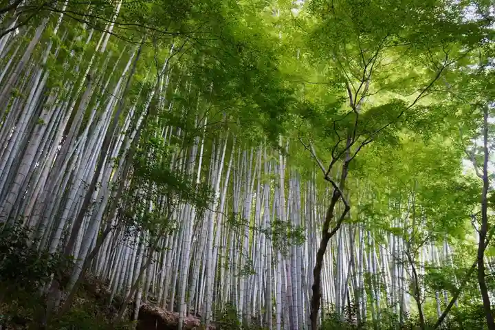 杉山谷不動尊(京都府)