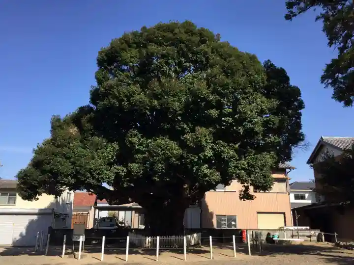 川俣神社(三重県)