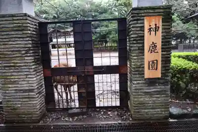 三嶋大社(静岡県)