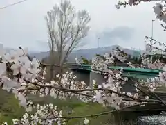 新川皇大神社の自然