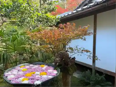 法然院(京都府)