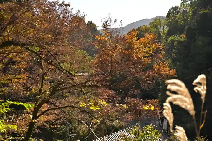 高龍神社(新潟県)