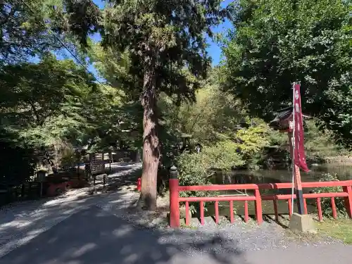 間々田八幡宮(栃木県)