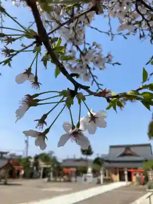 總社 和田八幡宮(福井県)