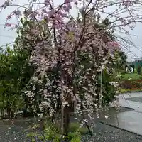 富知六所浅間神社(静岡県)