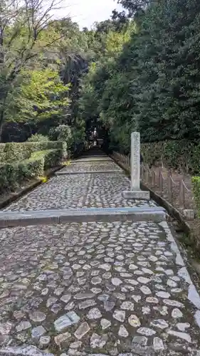 仲恭天皇　九條陵(京都府)