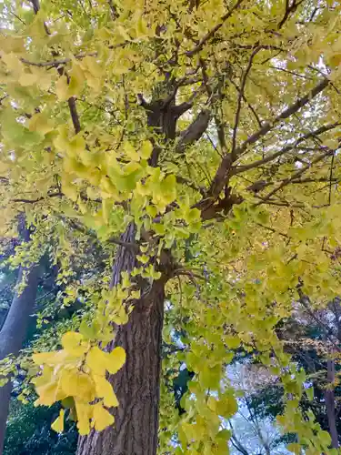 三栖神社(京都府)