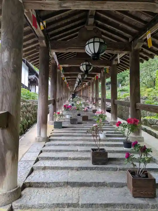 長谷寺(奈良県)