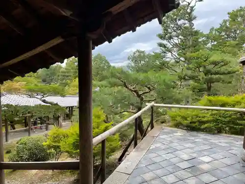 東福禅寺（東福寺）(京都府)