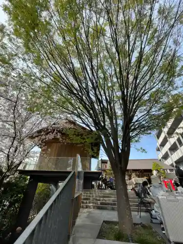赤城神社(東京都)