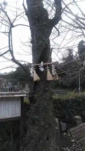 善福寺(長崎県)