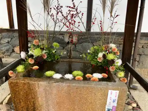 興聖寺（興聖寶林禅寺）の手水舎
