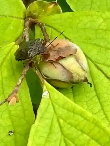 天得院(京都府)
