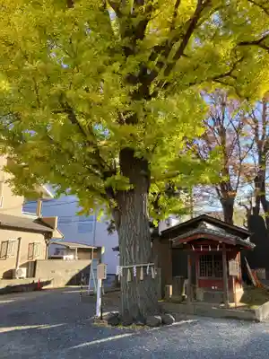 取手八坂神社(茨城県)
