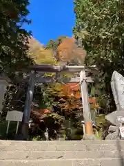 戸隠神社宝光社の鳥居