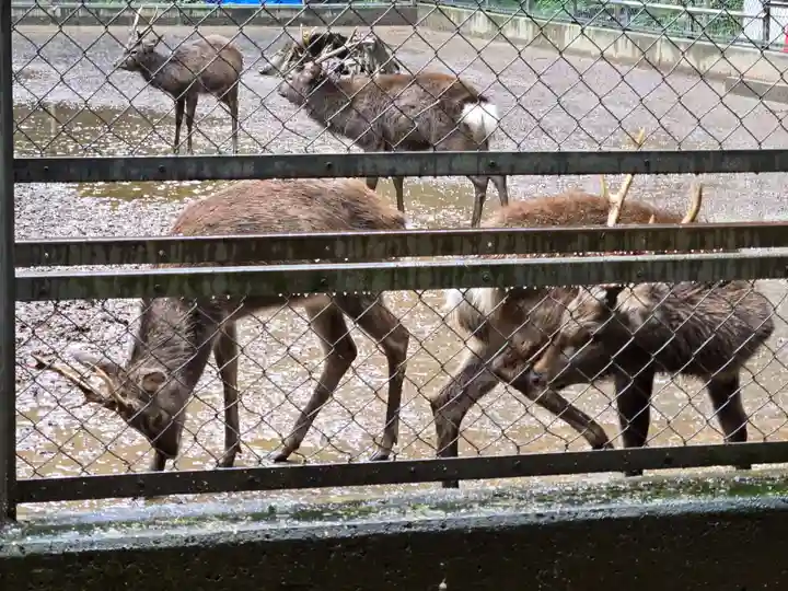 鹿島神宮(茨城県)