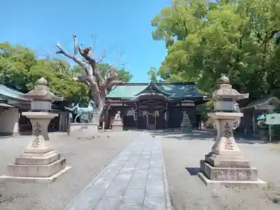 金岡神社の本殿・本堂