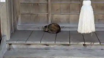 入舟稲荷神社の動物