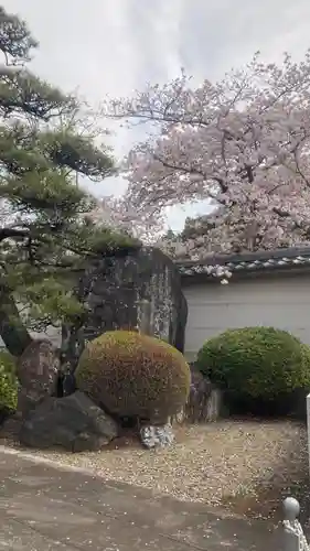 禪定院(東京都)