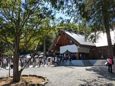 北海道神宮のお祭り